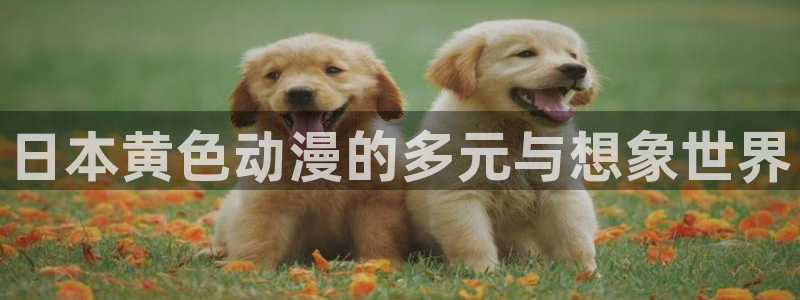 age动漫下载外国：日本黄色动漫的多元与想象世界