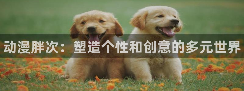 age动漫老版下载：动漫胖次：塑造个性和创意的多元世界