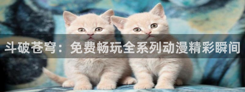 age怎么下载动漫：斗破苍穹：免费畅玩全系列动漫精彩瞬间