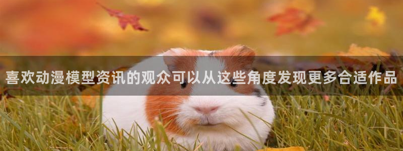 age 动漫下载老版