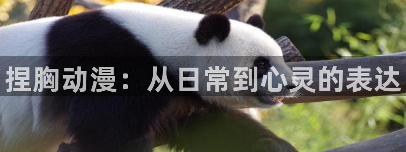 age动漫下载闪电