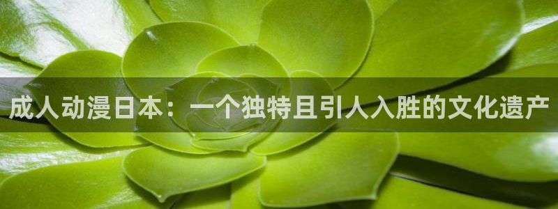 age动漫下载在线观看