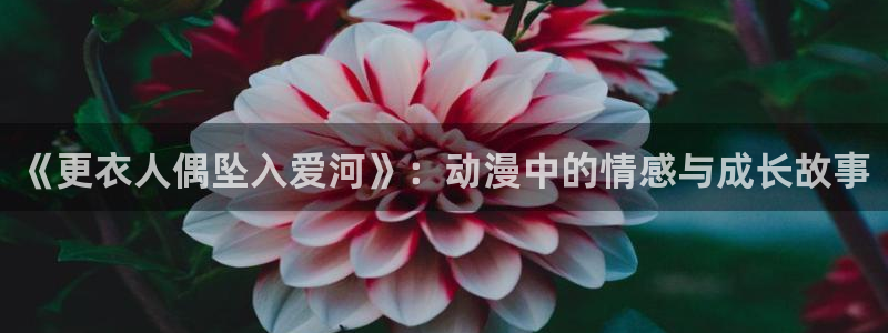 AGE动漫啦下载